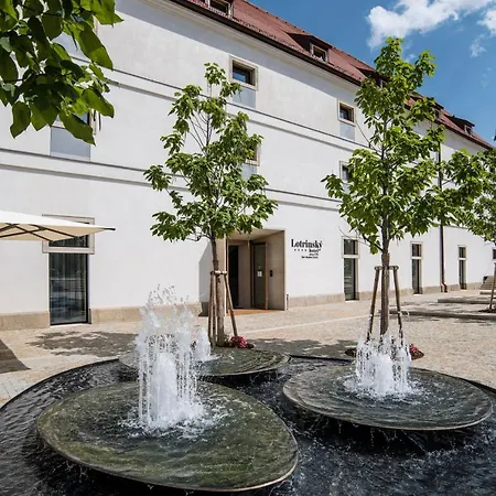 Lotrinsky Hotel 4*