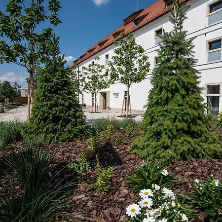Otel Lotrinsky 4*