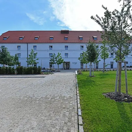 Отель Lotrinsky