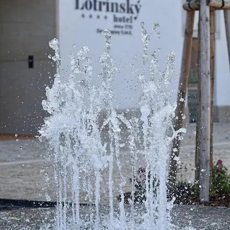 Lotrinsky Hotel 4*